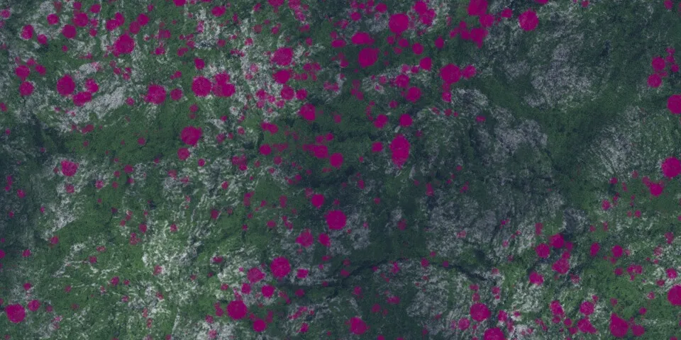Aerial-style view of dark green rocky terrain with scattered magenta circular shapes