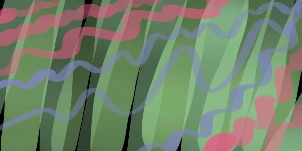 Broad translucent vertical green bands over a black background with wavy pink and purple lines